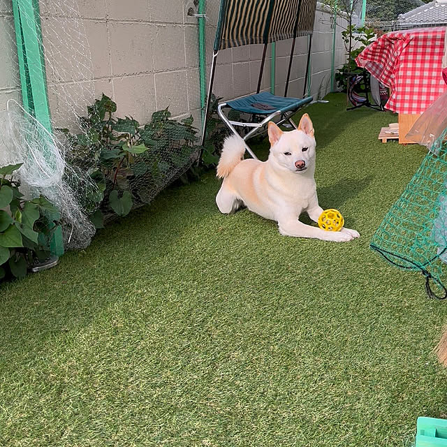 Toyomiさんの部屋