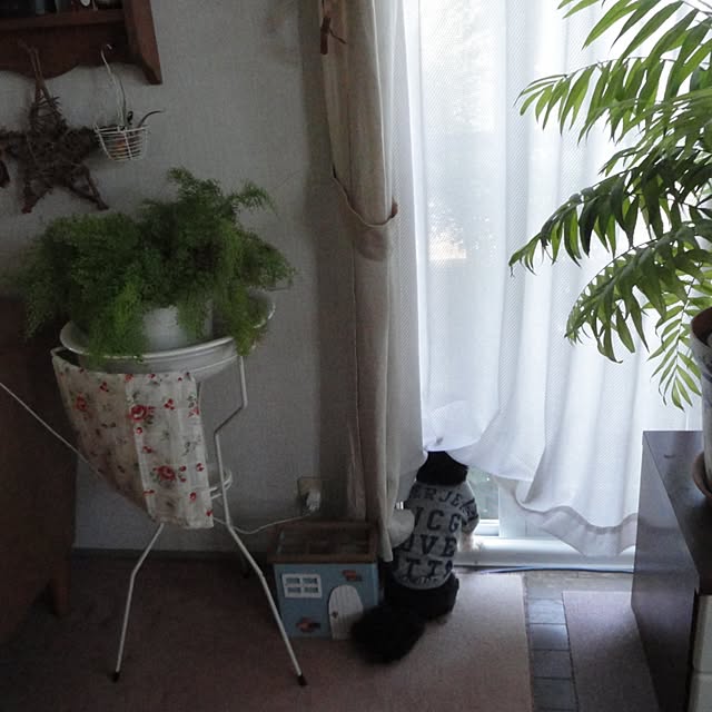 AcchanSaysさんの実例写真