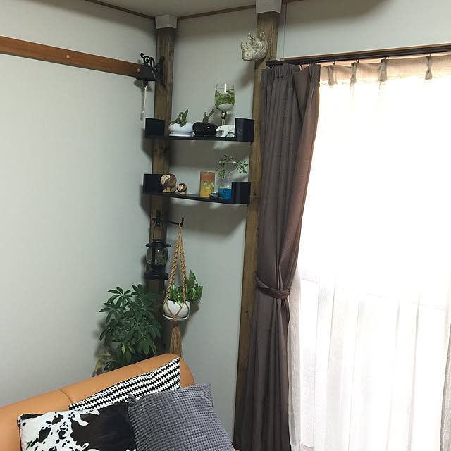 Ryutoman55さんの実例写真
