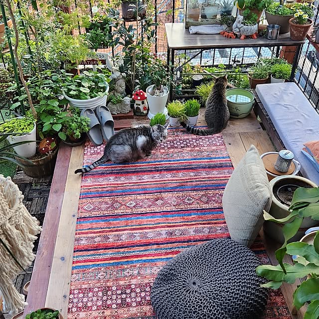 mikamaiさんの部屋