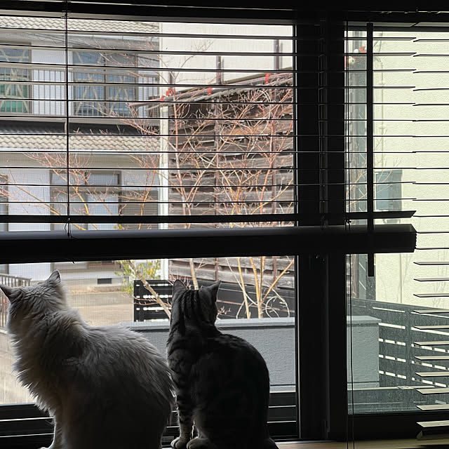 KJmaedaさんの実例写真