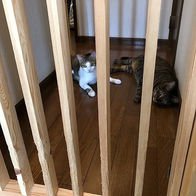 mori_6_12さんの部屋
