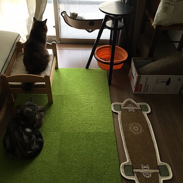 mikomaruさんの実例写真