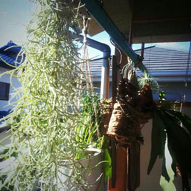 zutanさんの実例写真