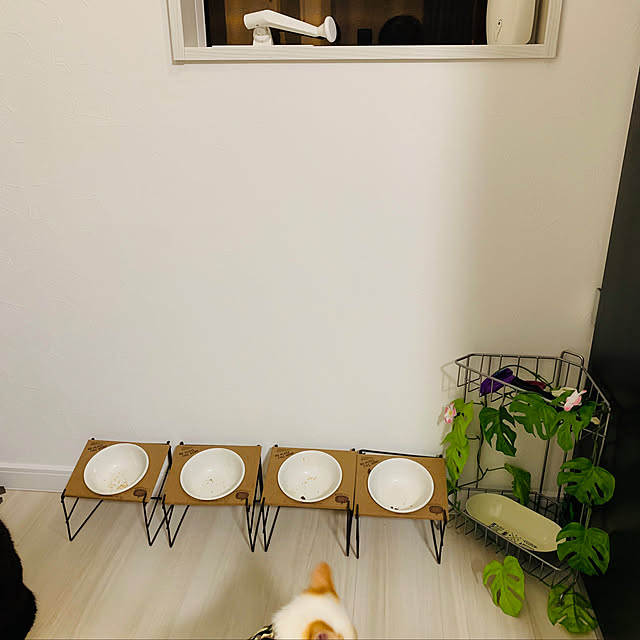 haryu1202さんの実例写真