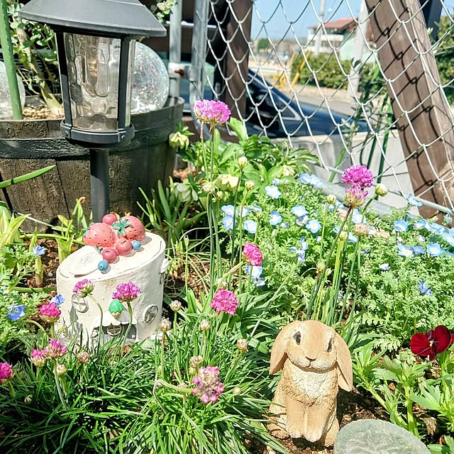 ponchanさんの部屋