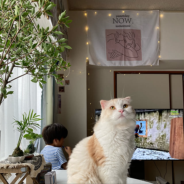 mofuchiさんの実例写真