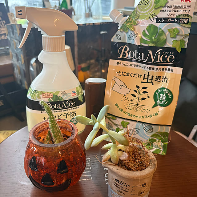 icietlaさんの部屋