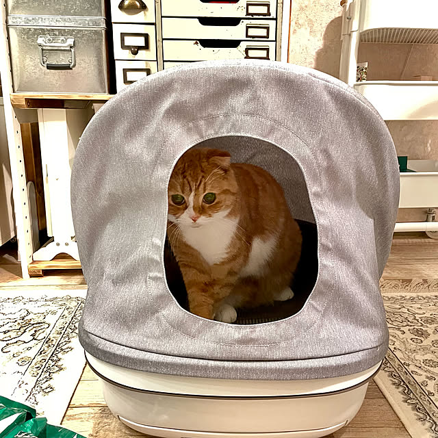 airararaさんの実例写真