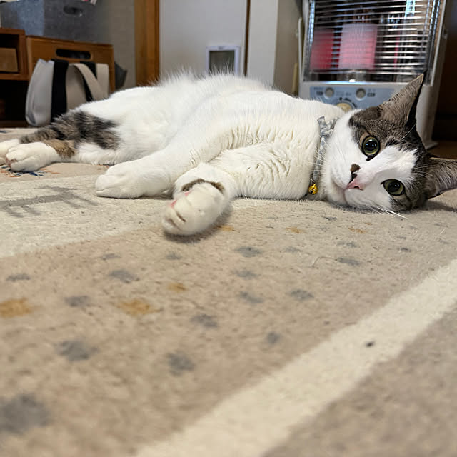 kuzumeganeさんの部屋