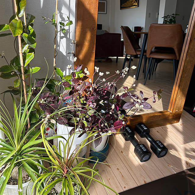 nee_roomさんの実例写真