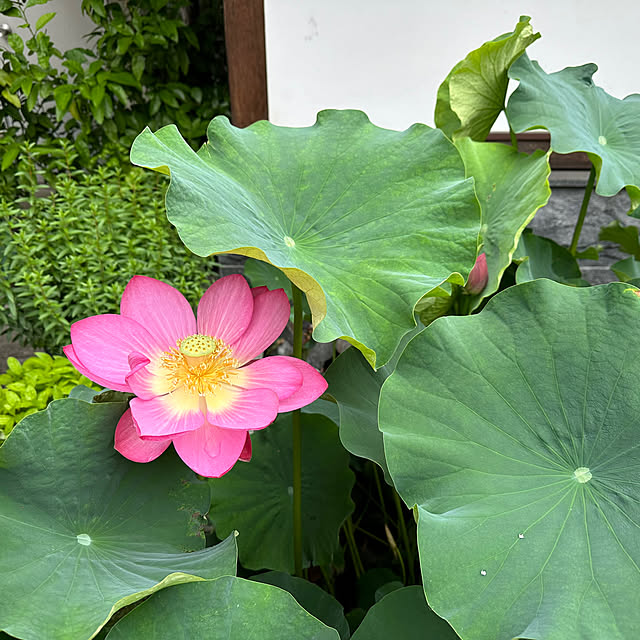 mizucchiさんの部屋