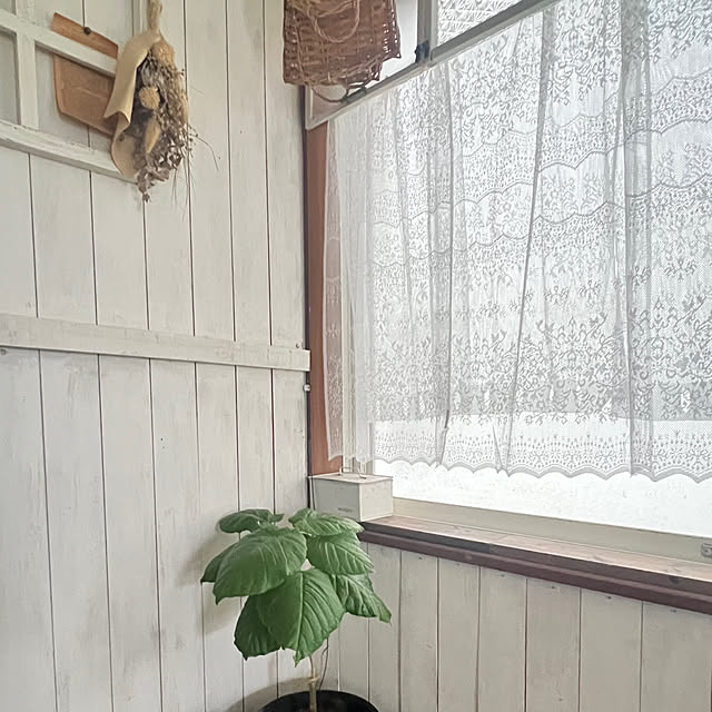 rookuさんの実例写真