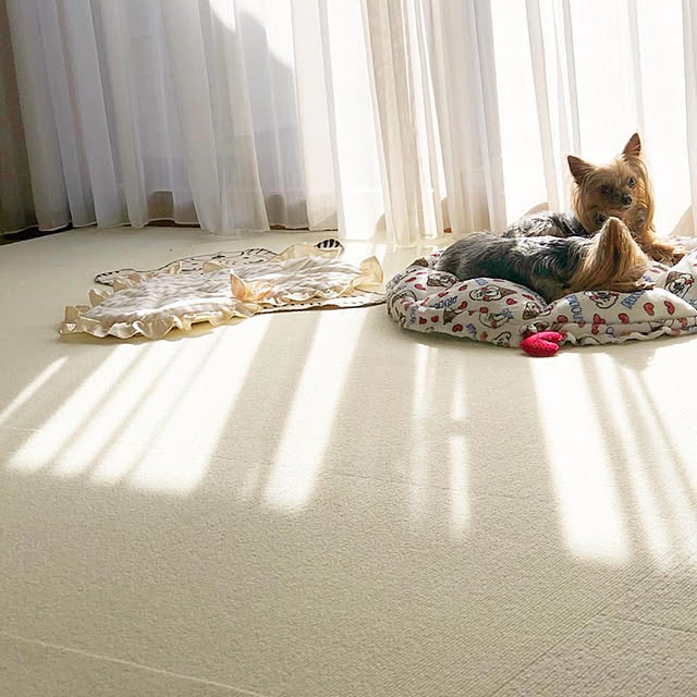 kiritobiさんの実例写真