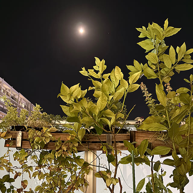 rainmanさんの部屋