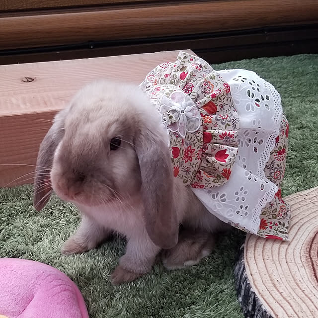 kominka_Lifeさんの実例写真
