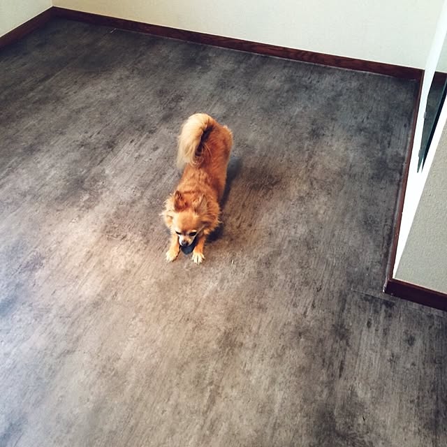 wamiki634さんの実例写真