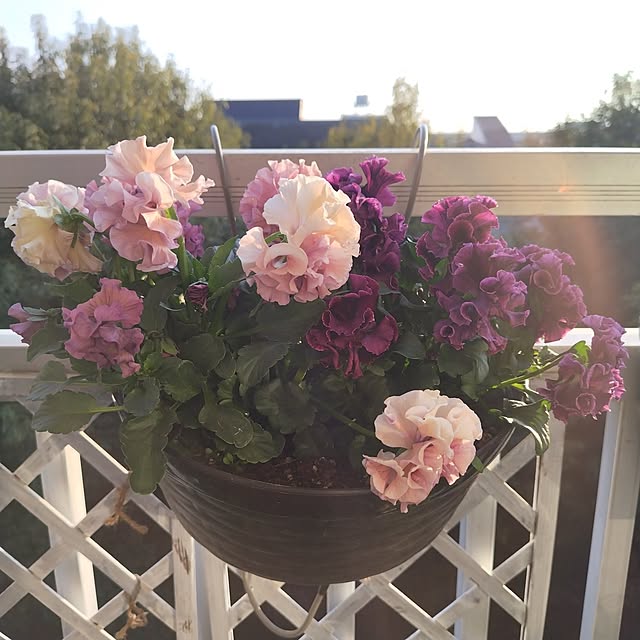 yuuu7712さんの実例写真