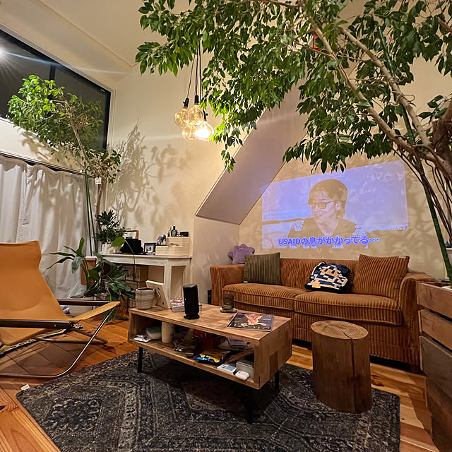 bassa_さんの部屋