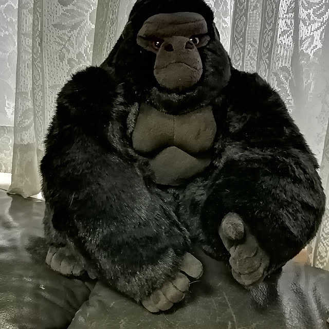 keiさんの実例写真