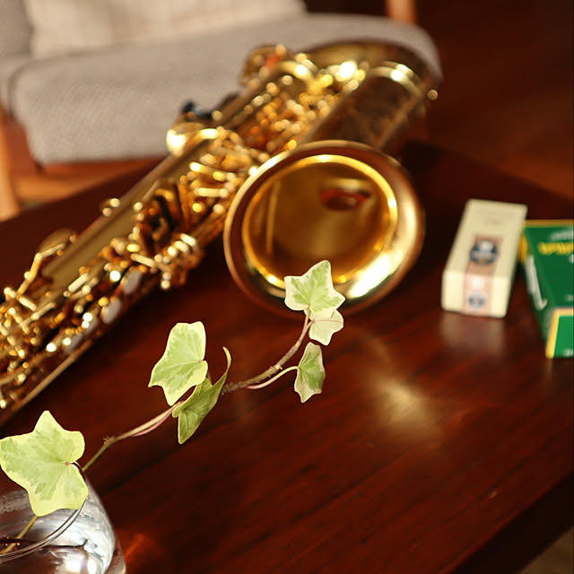 楽器/観葉植物/北欧/デンマーク/ヴィンテージ...などのインテリア実例 - 2022-03-20 08:53:30