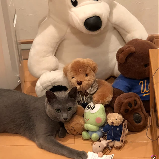 tarohiromamaさんの実例写真