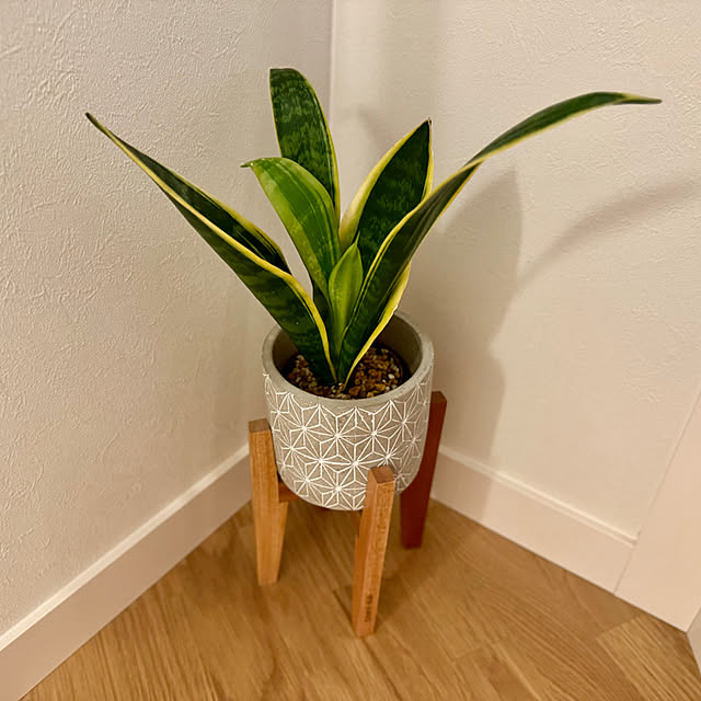mocoさんの部屋