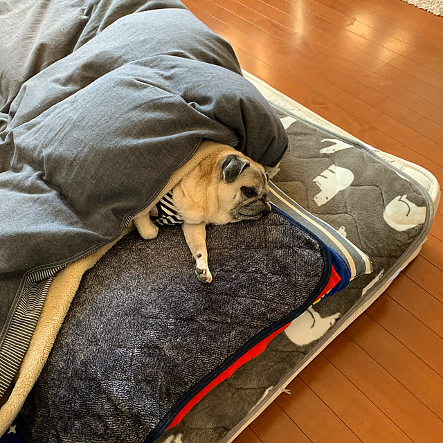 kellyさんの実例写真