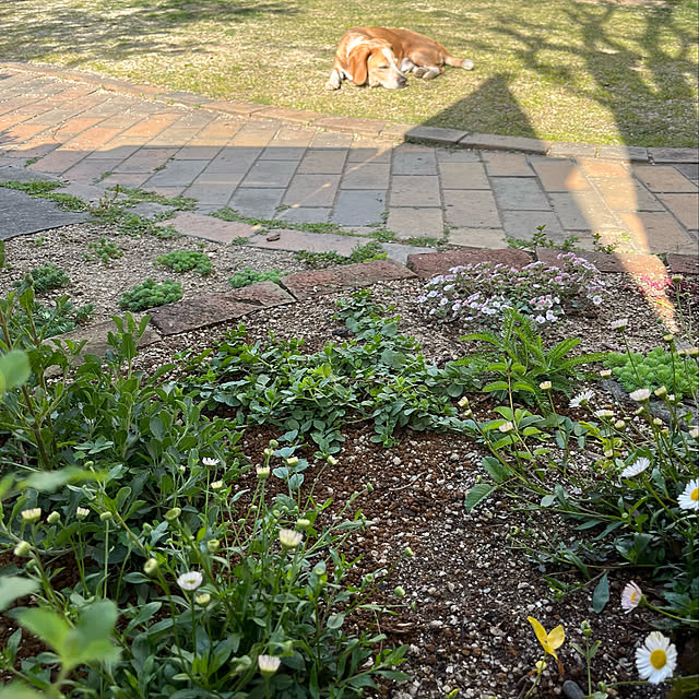 kuuさんの実例写真
