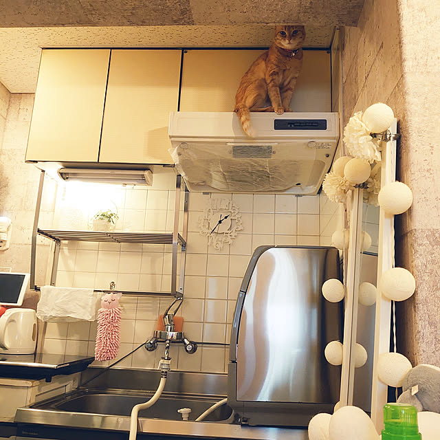 asuminさんの実例写真