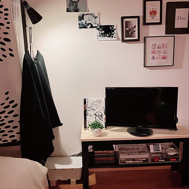 cat-number9さんの実例写真