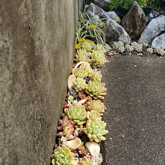 sayaさんの実例写真