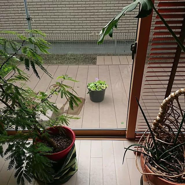 urchinさんの部屋