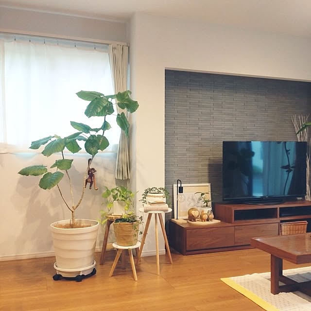 tan5さんの実例写真