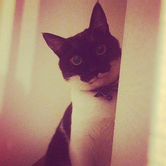 taeさんの実例写真