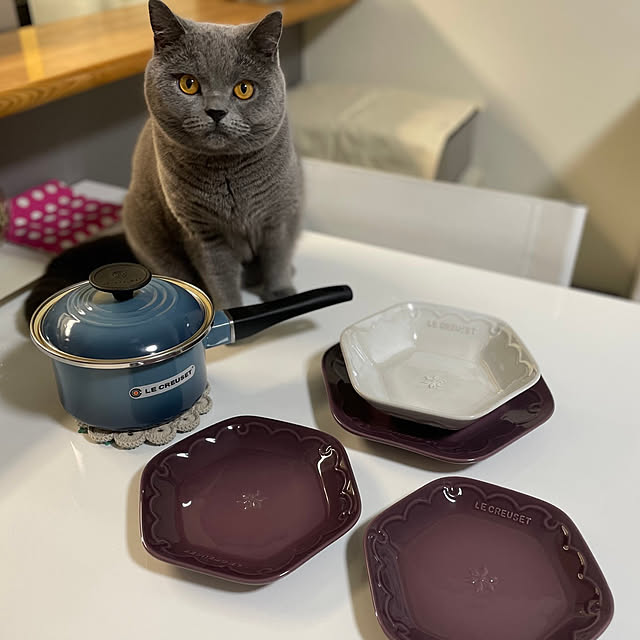 kittyさんの実例写真
