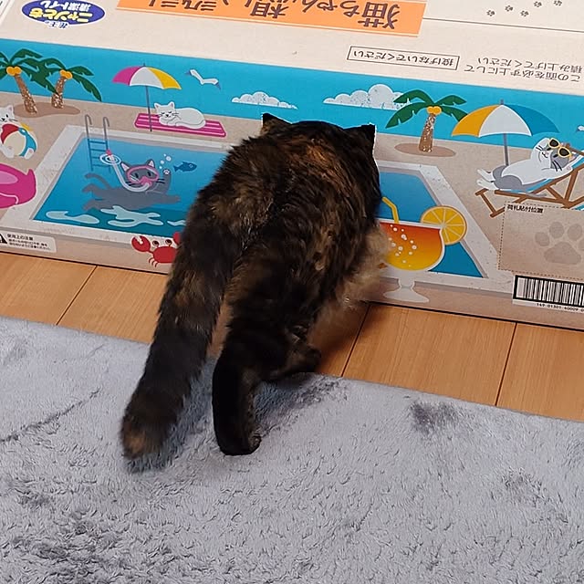 noguriさんの部屋