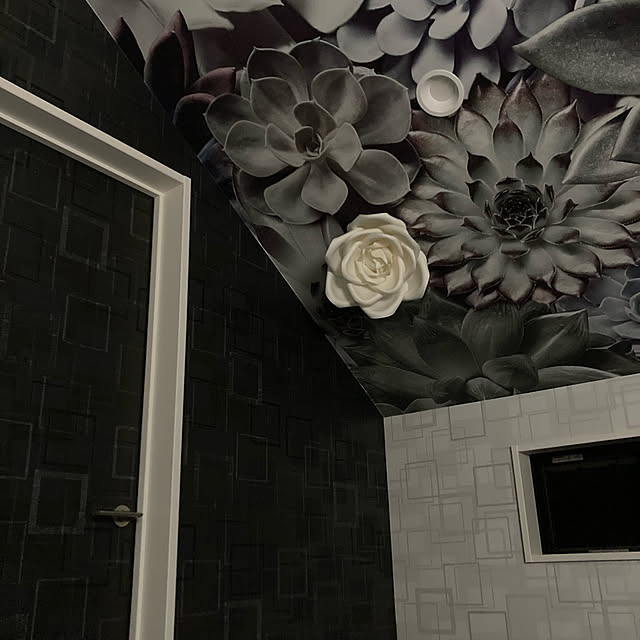 実例写真