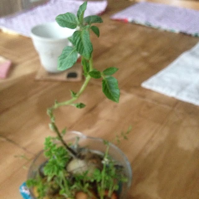 izuhanさんの実例写真