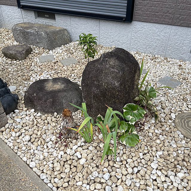 kikiさんの部屋