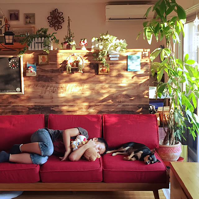部屋全体/NO GREEN NO LIFEのインテリア実例 - 2018-07-29 09:50:58