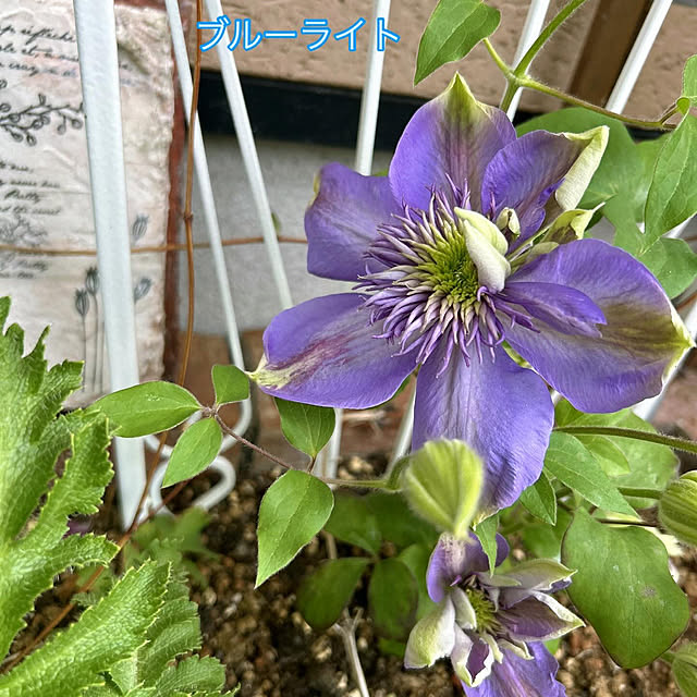 sunabaさんの部屋