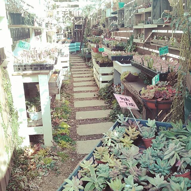 akr29さんの実例写真
