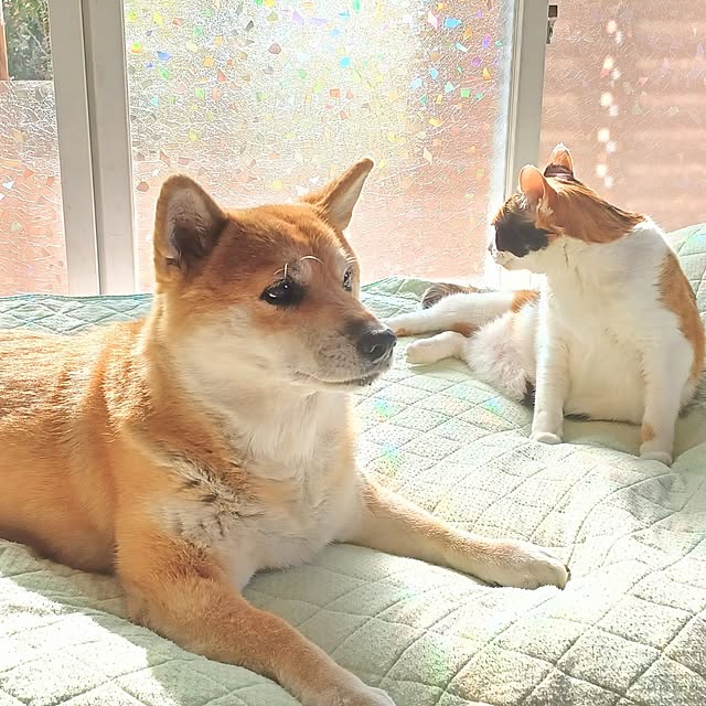 nanaさんの部屋