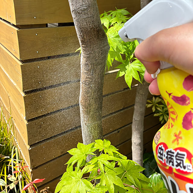 mirutanさんの実例写真