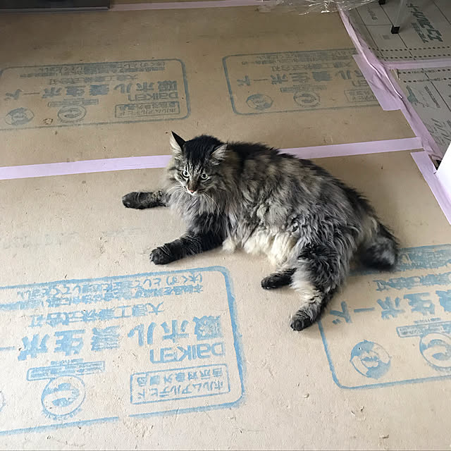 hayasanさんの実例写真