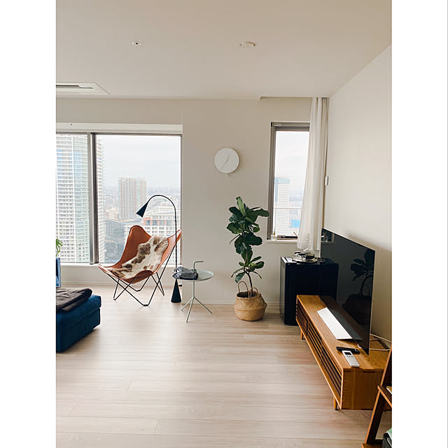Luccaさんの実例写真