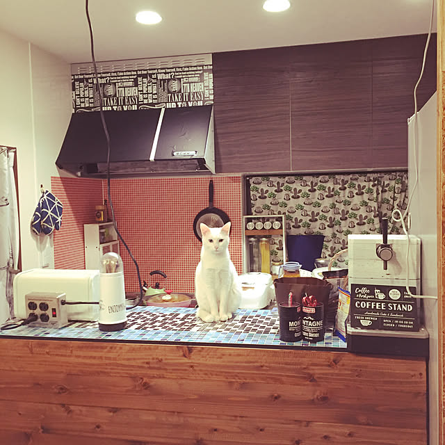 キッチン/コメントスルーで大丈夫です♡/壁紙屋本舗/猫との暮らし/ダイソー3Dタイルシール...などのインテリア実例 - 2018-12-18 21:29:40