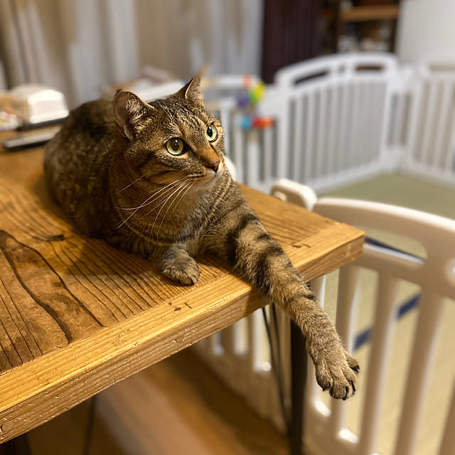 mikomaruさんの実例写真