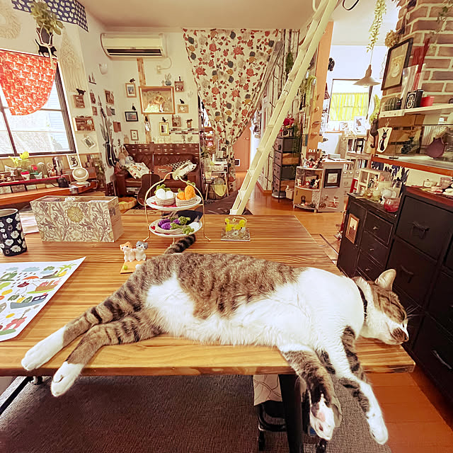 jijiさんの実例写真